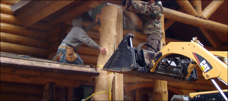 Log Home Log Replacement  Alleghany County, Virginia