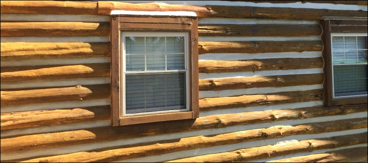 Log Home Whole Log Replacement  Covington, Virginia